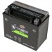 Interstate AGM Battery - CYTX12-BS