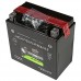 Interstate AGM Battery - CYTX14H-BS